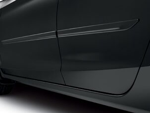 BODY SIDE MOLDING (part number:)