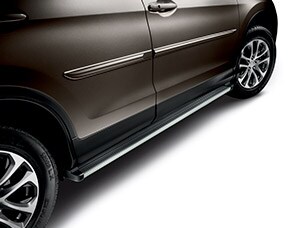 BODY SIDE MOLDING (part number:)