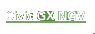 Civic GX NGV
