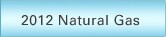 Civic Natural Gas
