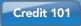 Credit 101