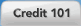 Credit 101