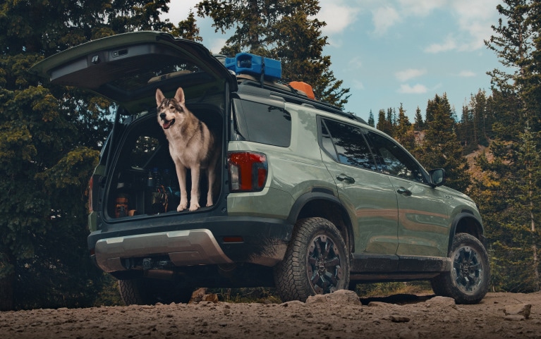 2027 Honda Passport TrailSport Elite in Ash Green Metallic back forest trail with a dog in the trunk (Mid-Size SUV).